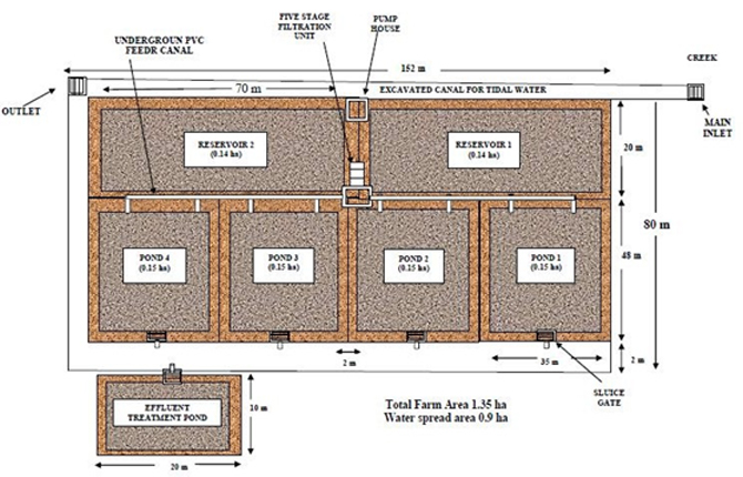 College of Fisheries Science, Kamdhenu University, Navsari. College of Fisheries Science, Kamdhenu University, Navsari.