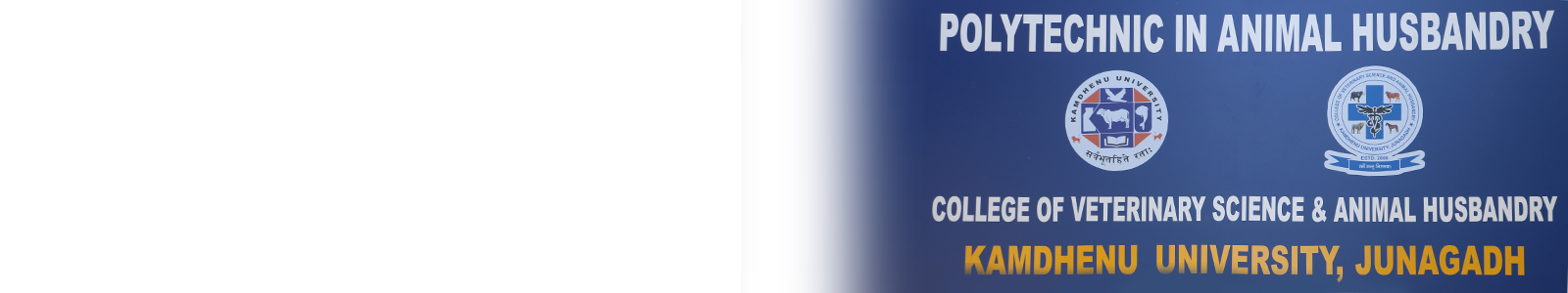 Contact Us Contact Us