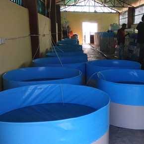 Laboratories Laboratories