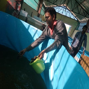 Laboratories Laboratories