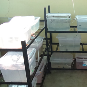 Laboratories Laboratories