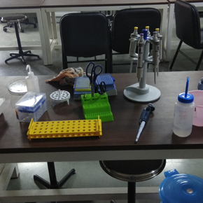 Laboratories Laboratories