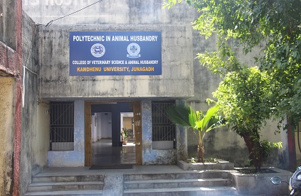Polytechnic in Animal Husbandry, Kamdhenu University, Junagadh, Gujarat. Polytechnic in Animal Husbandry, Kamdhenu University, Junagadh, Gujarat.