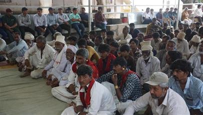 ભાણવડ ગામ ખાતે પશુ રોગ નિદાન અને સારવાર મેગા કેમ્પનું આયોજન