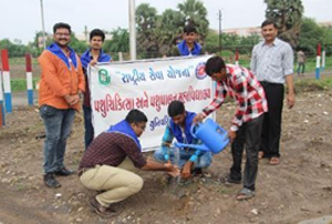 Tree Plantation