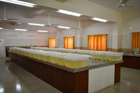Aquaculture Wet Laboratory Aquaculture Wet Laboratory