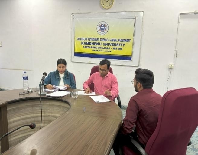 Youth Festival Youth Festival