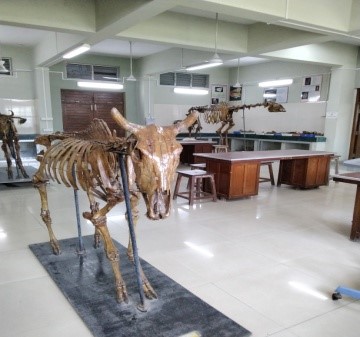 Youth Festival Youth Festival