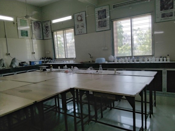 Youth Festival Youth Festival