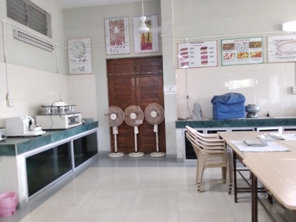 Youth Festival Youth Festival