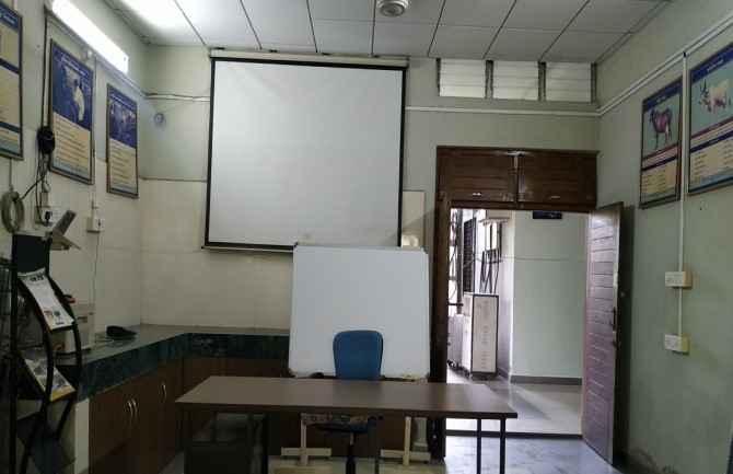 Youth Festival Youth Festival