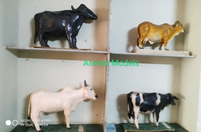 Youth Festival Youth Festival