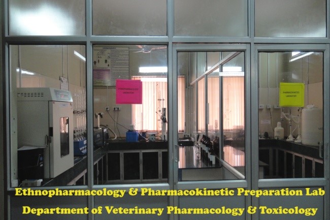 Youth Festival Youth Festival