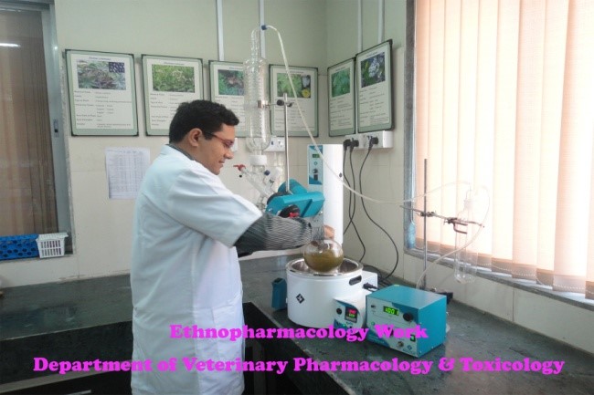 Youth Festival Youth Festival