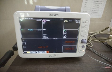 Youth Festival Youth Festival