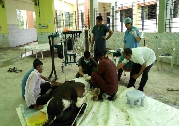 Youth Festival Youth Festival