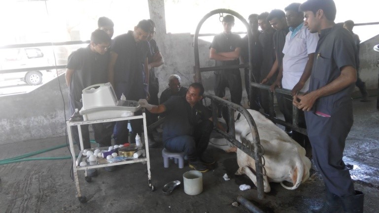 Youth Festival Youth Festival