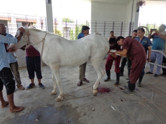 Youth Festival Youth Festival