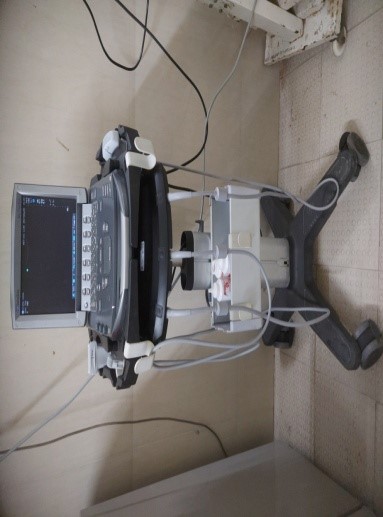 Youth Festival Youth Festival