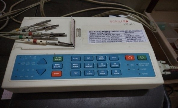 Youth Festival Youth Festival