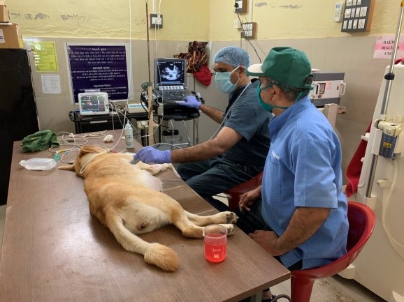 Youth Festival Youth Festival