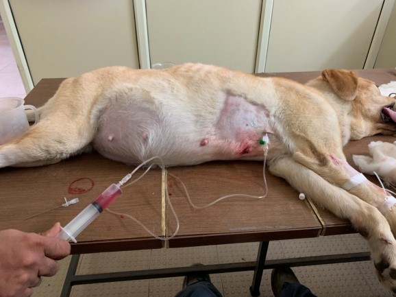 Youth Festival Youth Festival