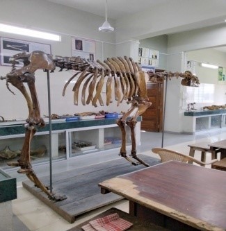 Youth Festival Youth Festival