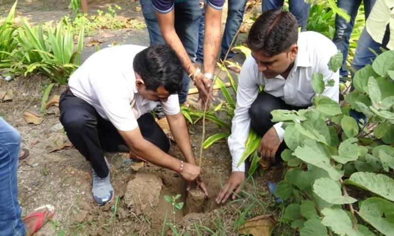 Tree plantation at LITC hostel