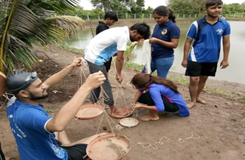 ELP Aquaculture Component