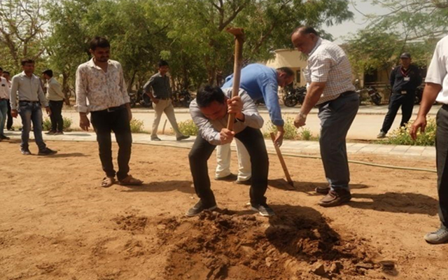 Tree Plantation