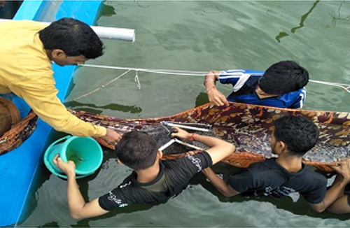 CIBA-NAU Organized Second Fishfarmers Conventional at Surat (19-20th Feb, 2020)