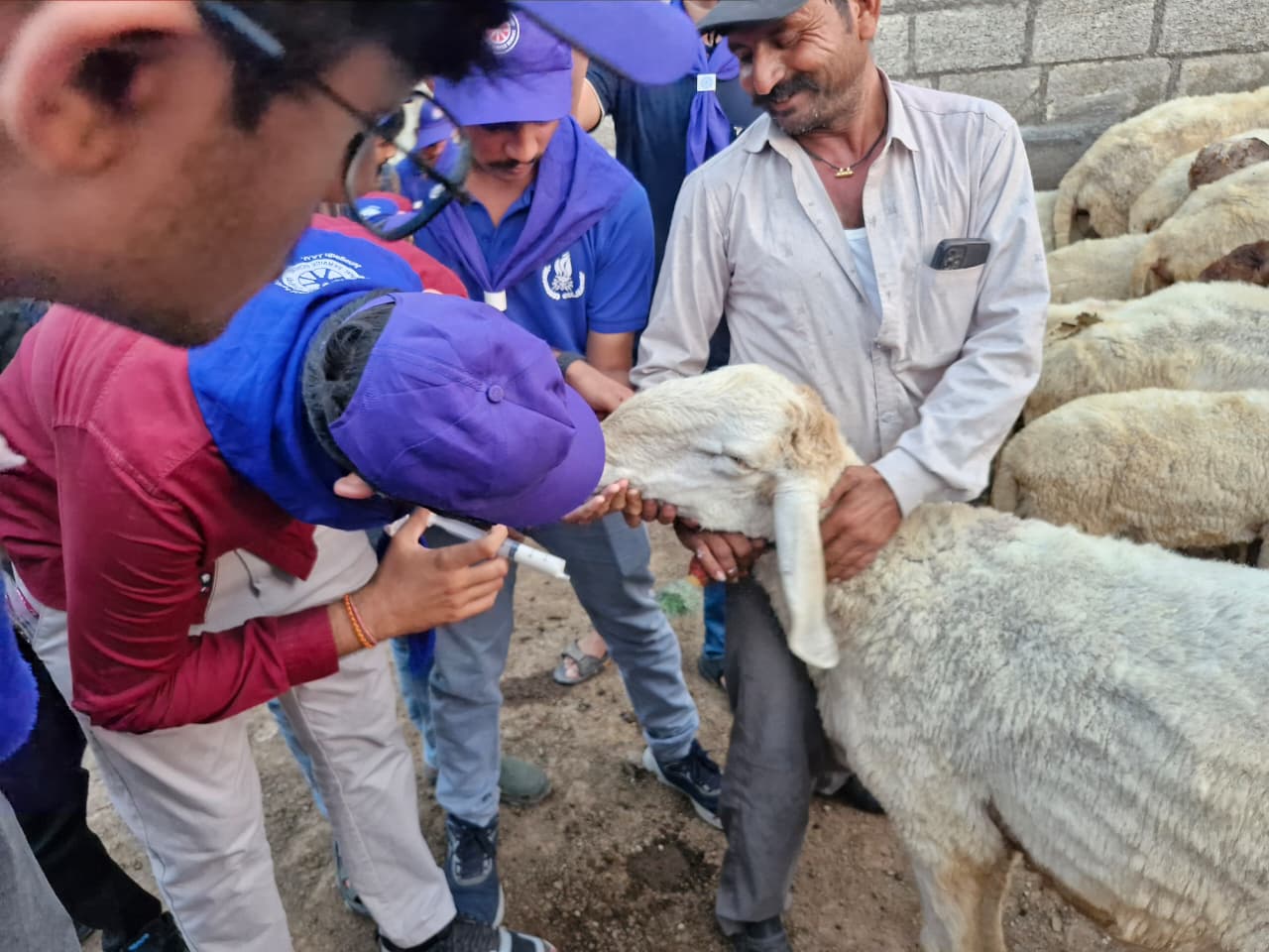Animal Health Check-up and Deworming Camp