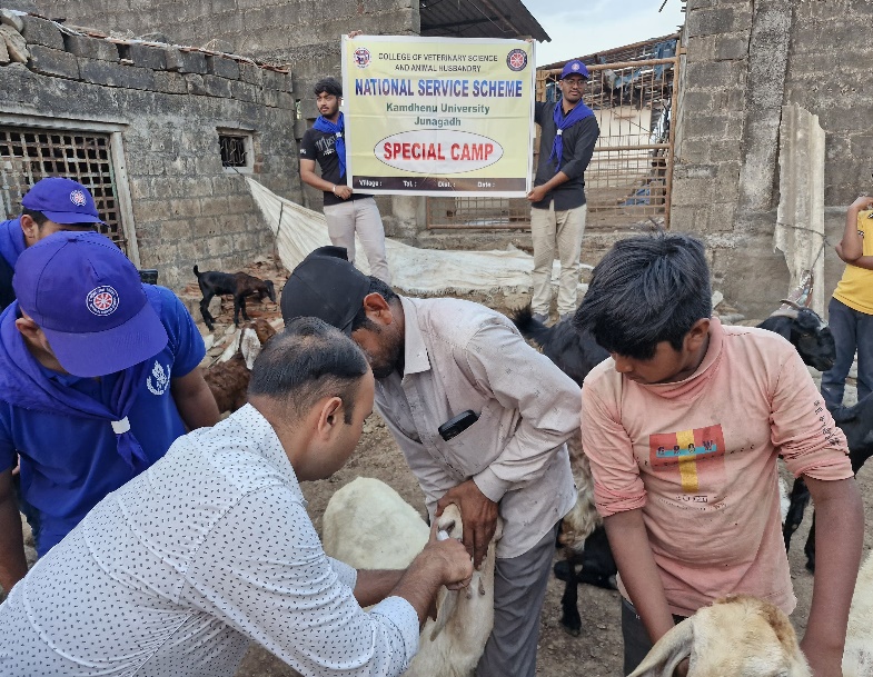 Animal Health Check-up and Deworming Camp