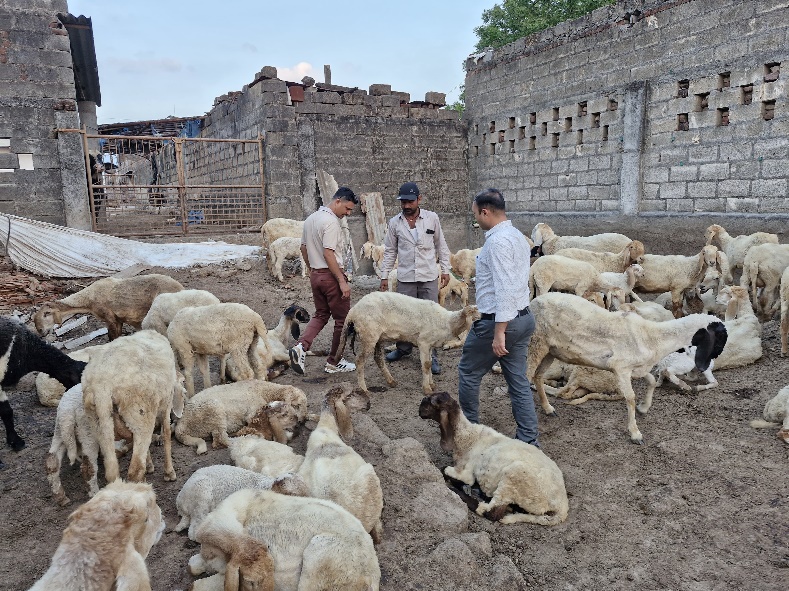 Animal Health Check-up and Deworming Camp