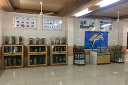 Biodiversity Museum Biodiversity Museum