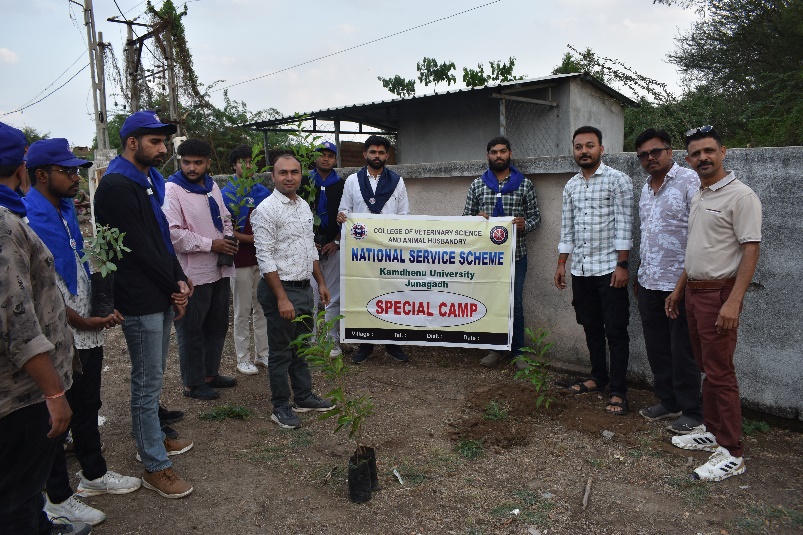 Tree Plantation