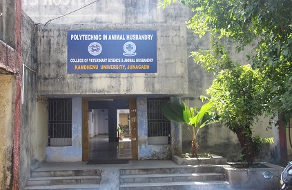 Polytechnic in Animal Husbandry, Kamdhenu University, Junagadh, Gujarat.