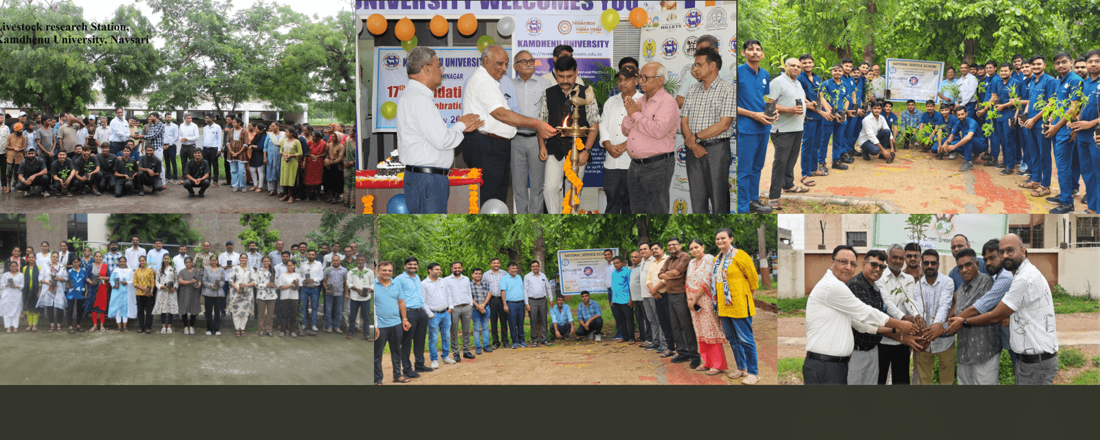 કામધેનુ યુનિવર્સિટી દ્વારા પર્યાવરણ જતન ના સંદેશ સાથે સ્થાપના દિવસની ઉજવણી