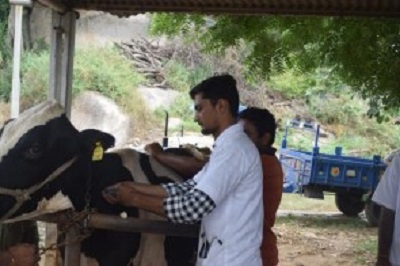ANIMAL HEALTH CAMP ORGANISED BY VETERINARY COLLEGE, KU, SARDARKRUSHINAGAR