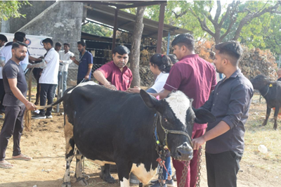 Animal Health Camp Organized by College of Veterinary Science & Animal Husbandry, Sardarkrushinagar