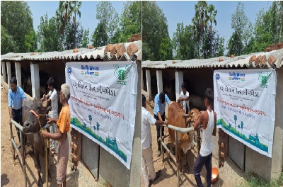 PVK, Limkheda, VASREU, KU, Anand. Organized VIKSIT KRISHI SANKALP ABHIYAN - PRE-KHARIF SEASON 2025
