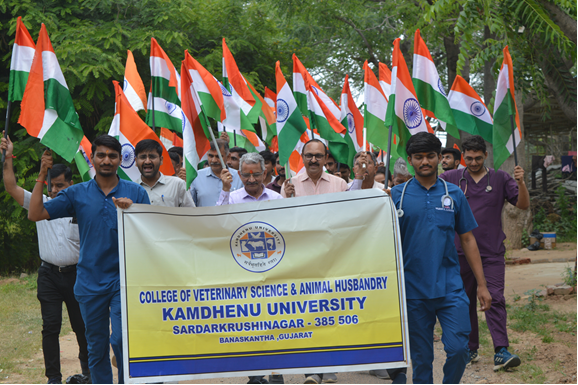 Tiranga Yatra at College of Veterinary Science and AH, Kamdhenu University, Sardarkrushinagar