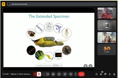 Internship committee CoVS Sardarkrushinagar organised a webinar on Birds anatomy and sound