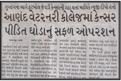 આણંદ વેટરનરી કોલેજ ખાતે કેન્સર પીડિત ઘોડાનું સફળ ઓપરેશન