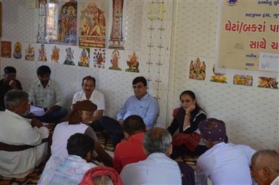 Visit of Scientist of Kamdhenu University to sheep/goat breeders of Surendranagar and Kutch