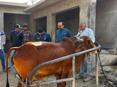 Veterinary Clinical Camp at Alidhra by College of Veterinary Science & A.H., K.U., Junagadh