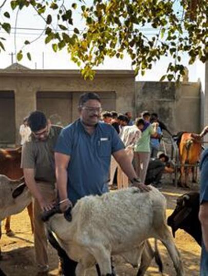 Veterinary Clinical Camp at Alidhra by College of Veterinary Science & A.H., K.U., Junagadh