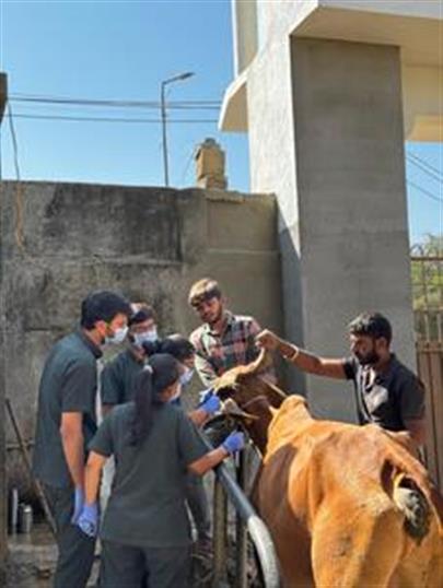Veterinary Clinical Camp at Alidhra by College of Veterinary Science & A.H., K.U., Junagadh