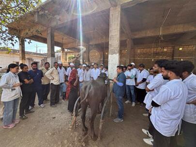 NSS special camp organized by College of Veterinary Science and Animal Husbandry, Kamdhenu University, Junagadh