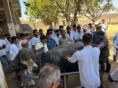 NSS special camp organized by College of Veterinary Science and Animal Husbandry, Kamdhenu University, Junagadh